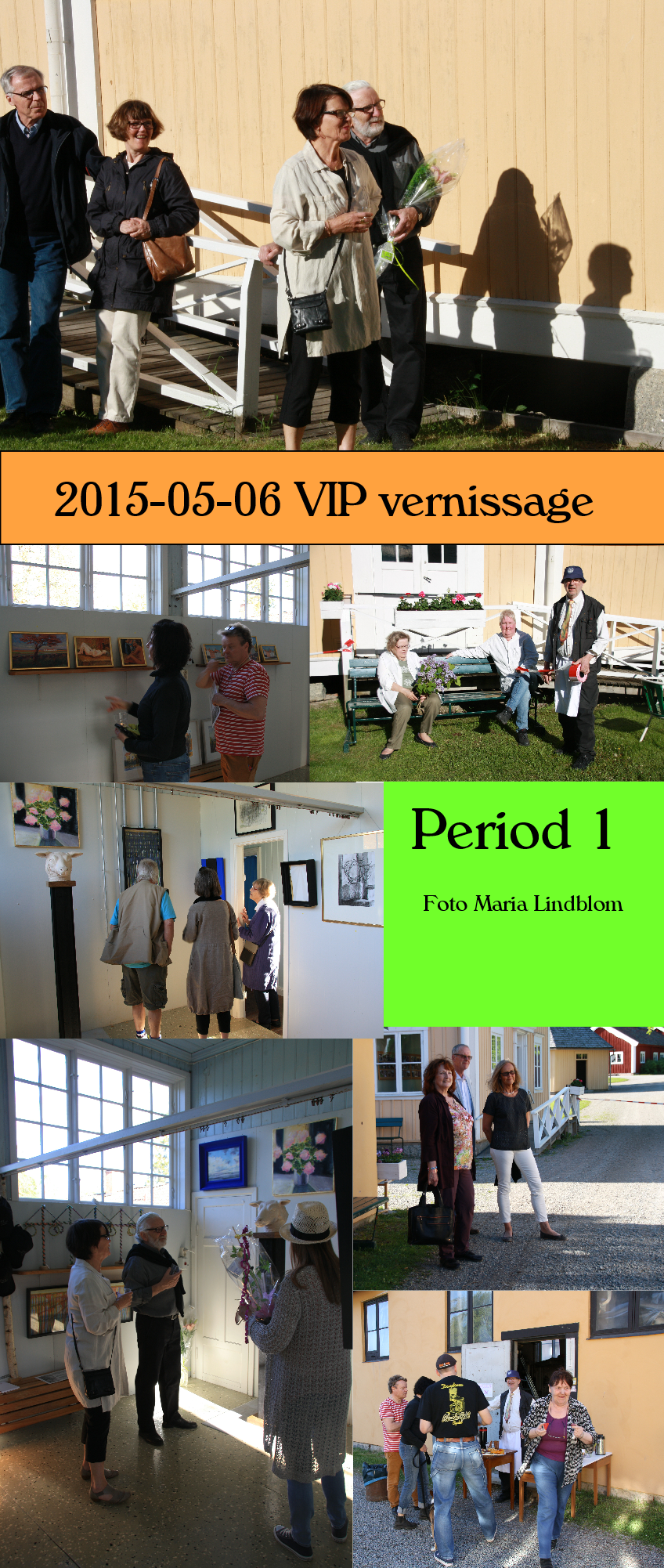 VIP vernissage 2015-06-05